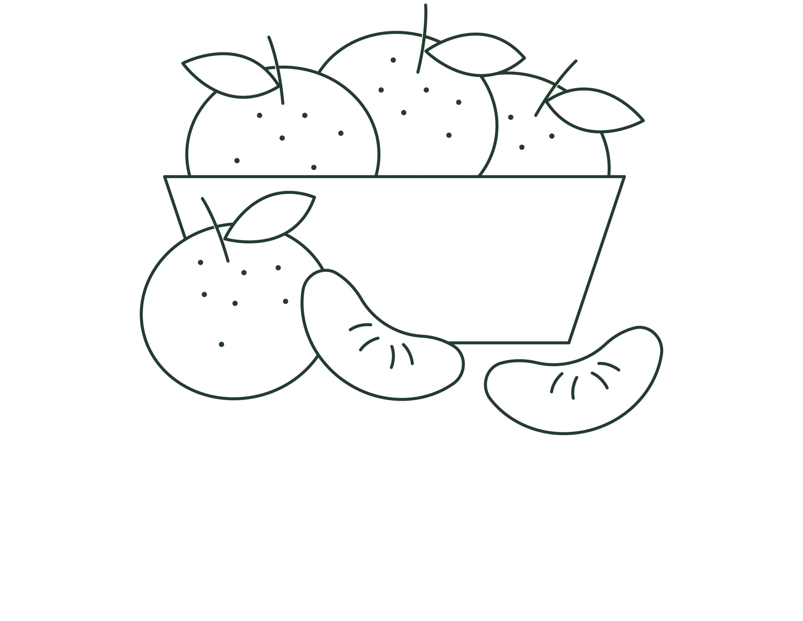 PMM_MB_Julii25_Mandarine-scaled Symbolbild Mandarinen