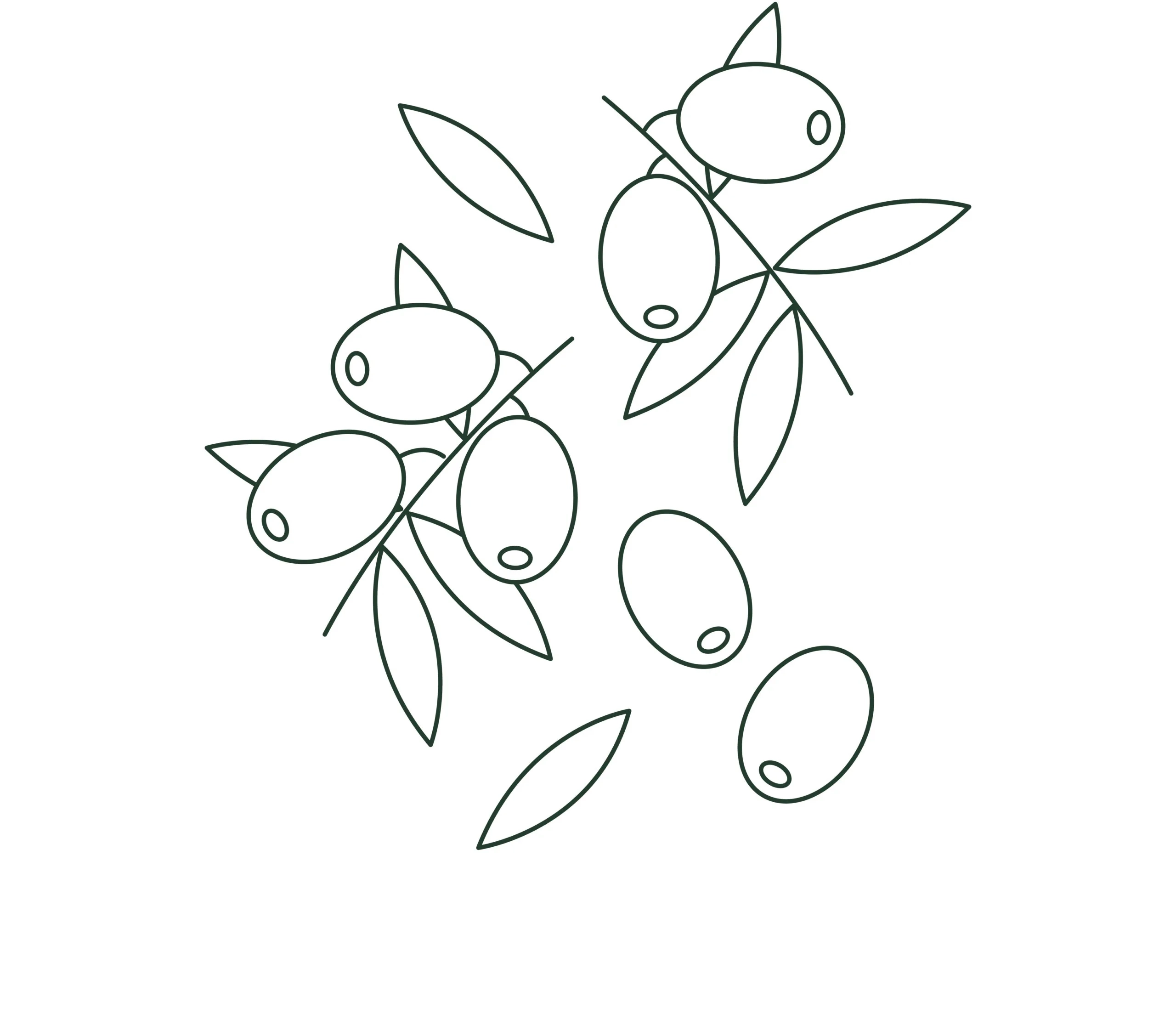 PMM_MB_Julii25_Oliven-scaled Symbolbild Oliven