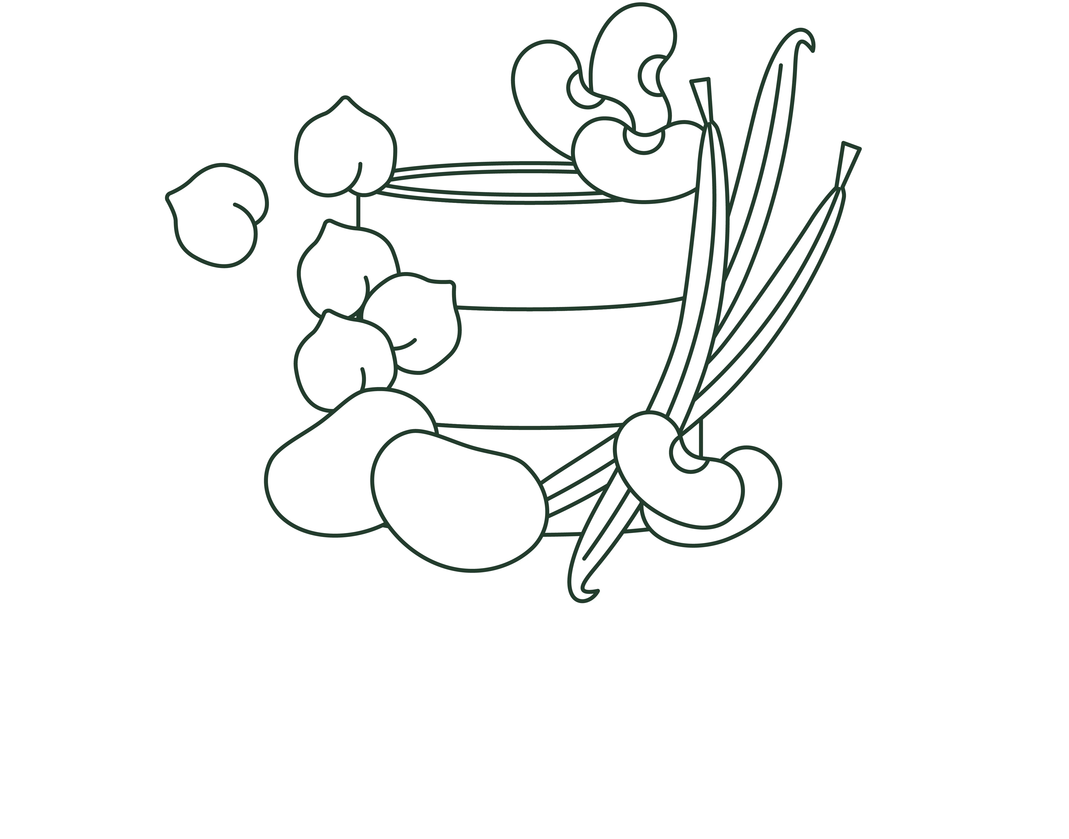 PMM_MB_September25_Huelsenfruechte Symbolbild Hülsenfrüchte